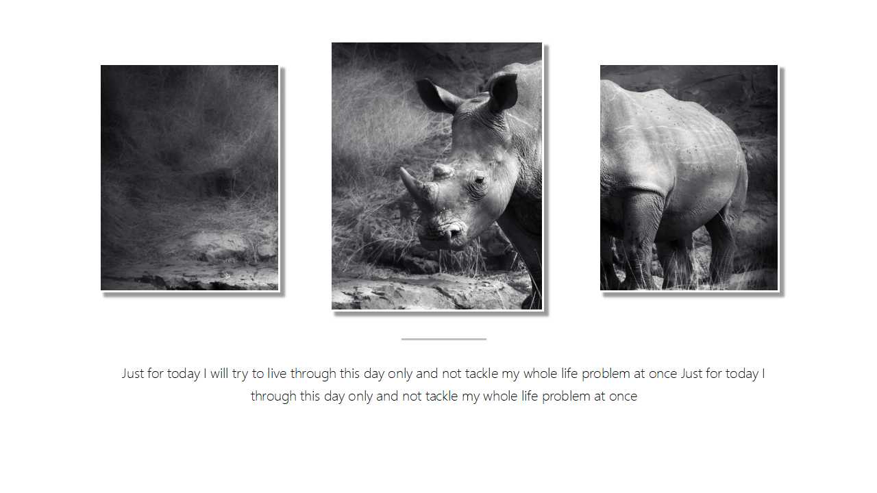 国外优秀医学PPT模板