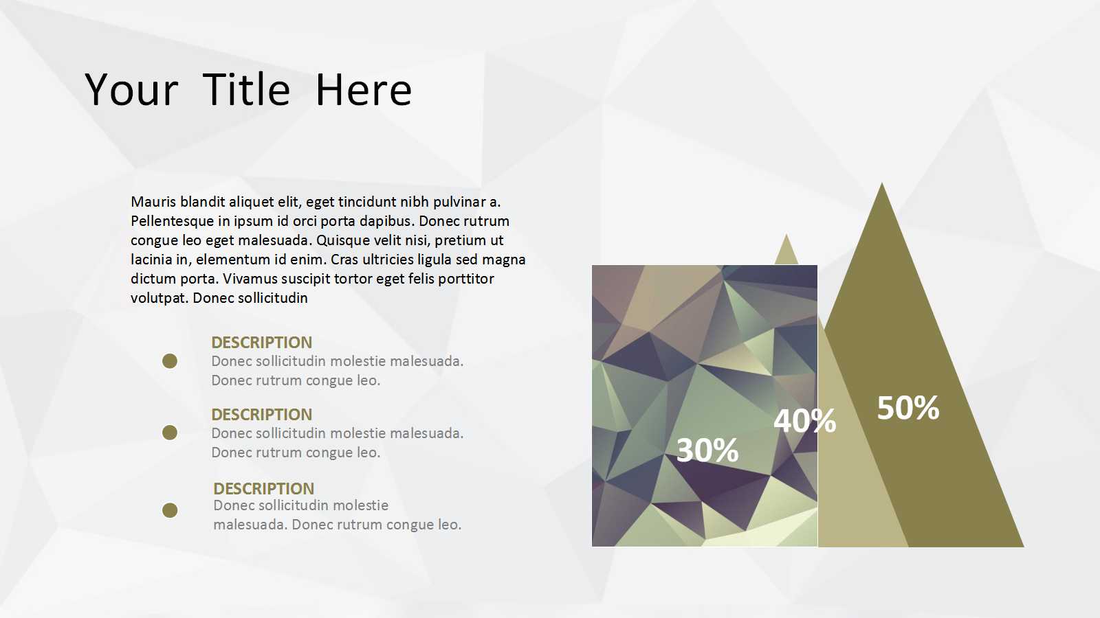 2012年西安西城国际公馆营销推广执行方案PPT课件