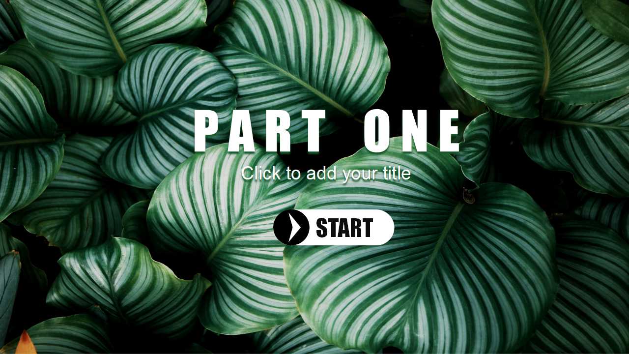 国外-经典的绿色模板PPT