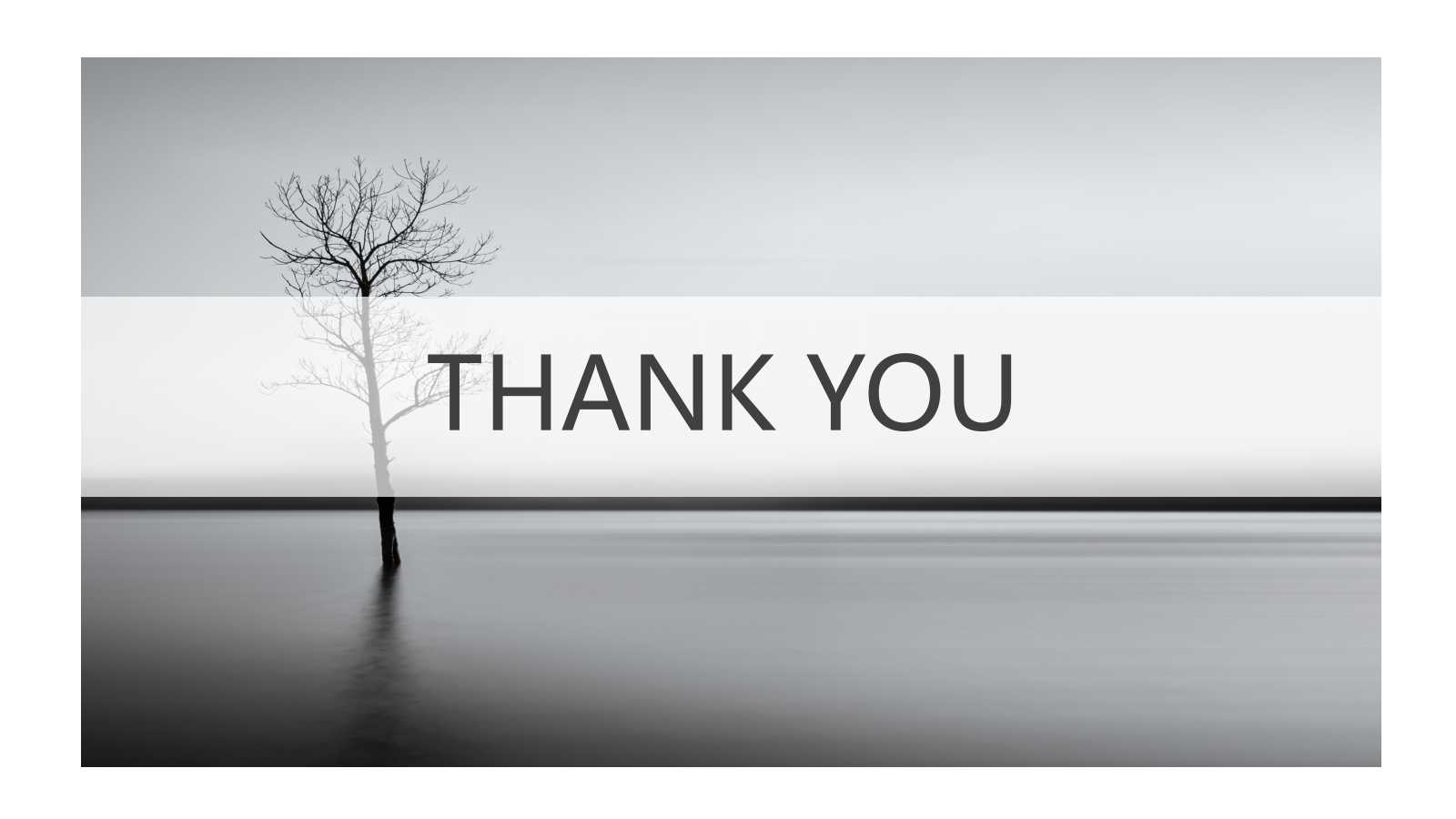 5S推进组织与组织方式PPT课件