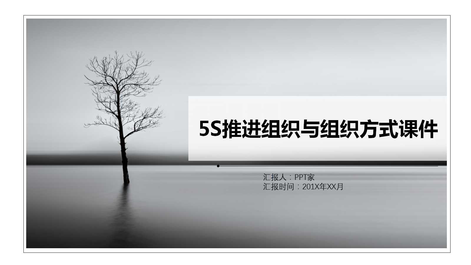 5S推进组织与组织方式PPT课件