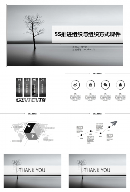 5S推进组织与组织方式PPT课件