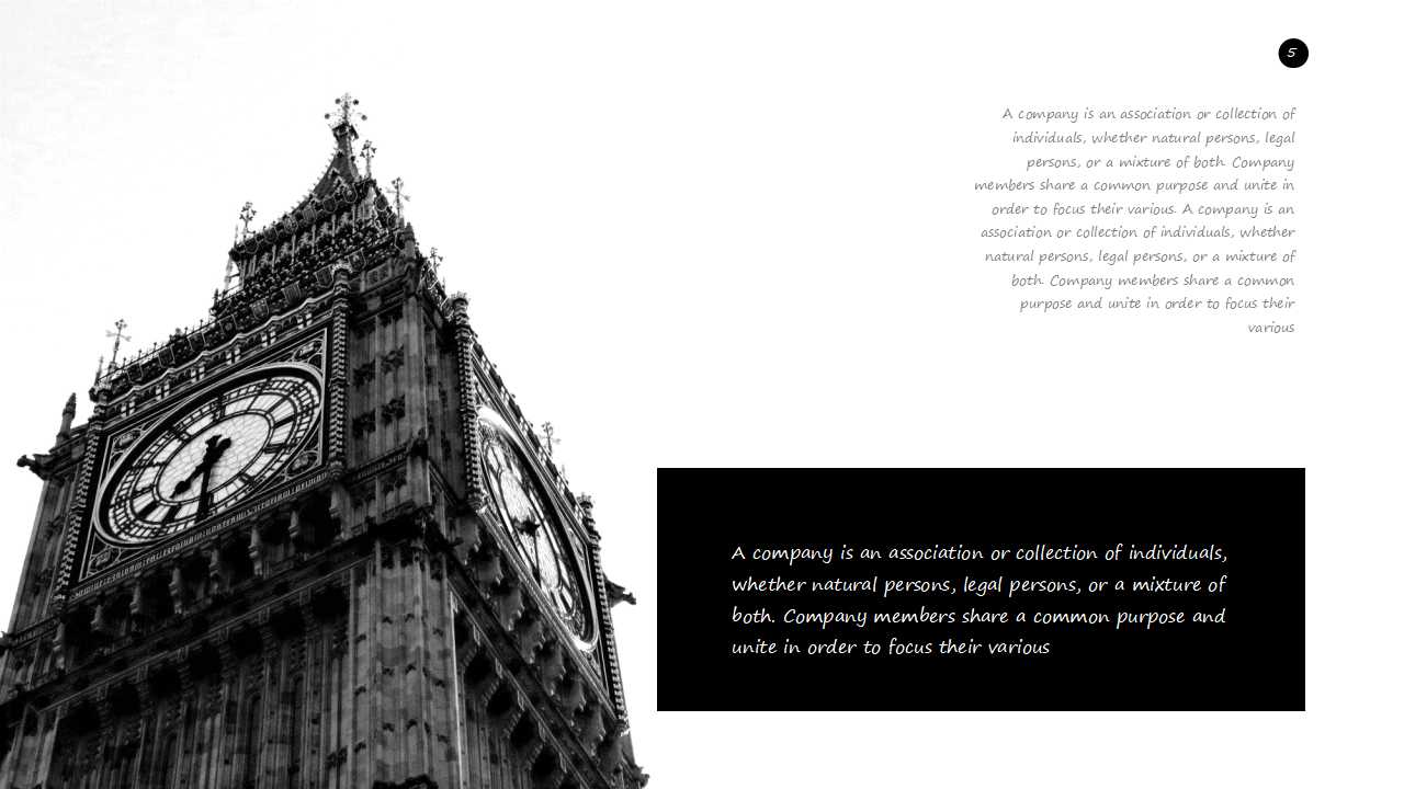 时尚欧美风项目展示报告ppt模板