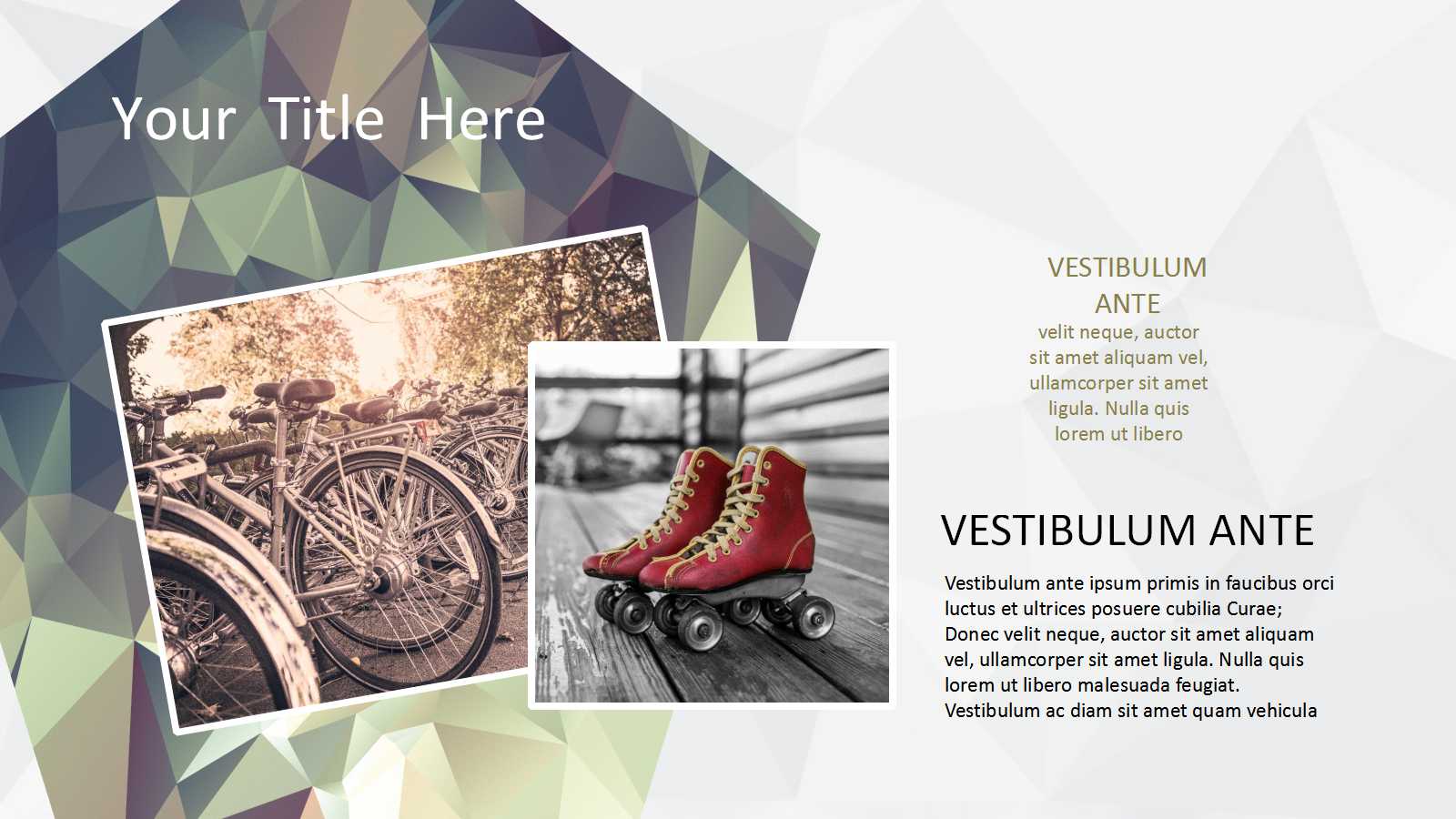 2012年西安西城国际公馆营销推广执行方案PPT课件