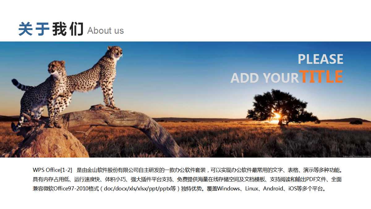 5S管理推行实务PPT课件