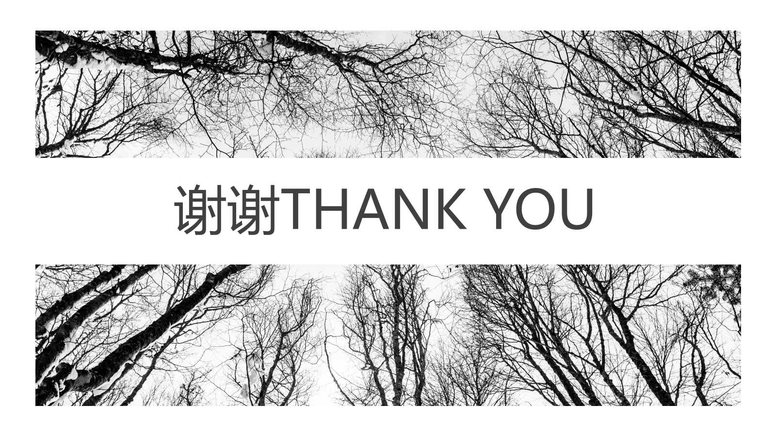 5S活动讲座PPT课件