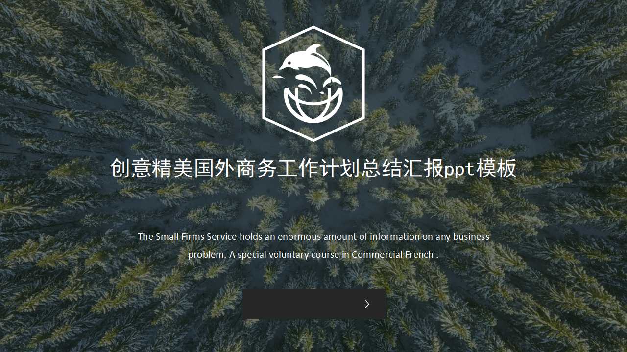 创意精美国外商务工作计划总结汇报ppt模板