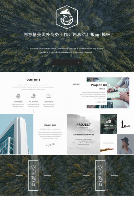 创意精美国外商务工作计划总结汇报ppt模板