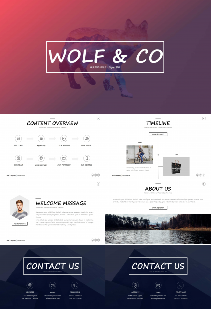 欧美简约风年度计划ppt模板