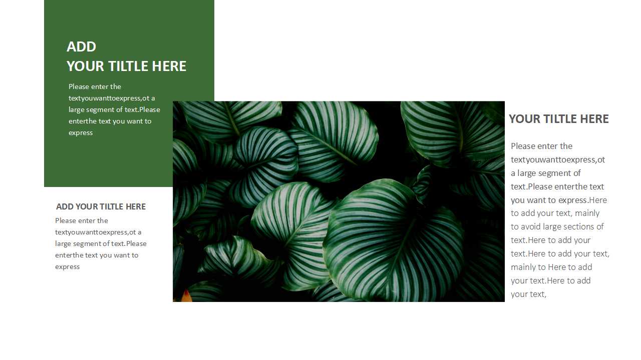 国外-经典的绿色模板PPT