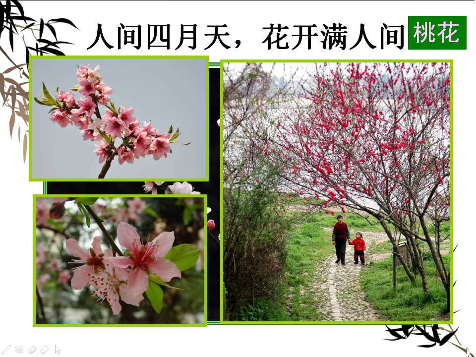 清明主题班会ppt模板