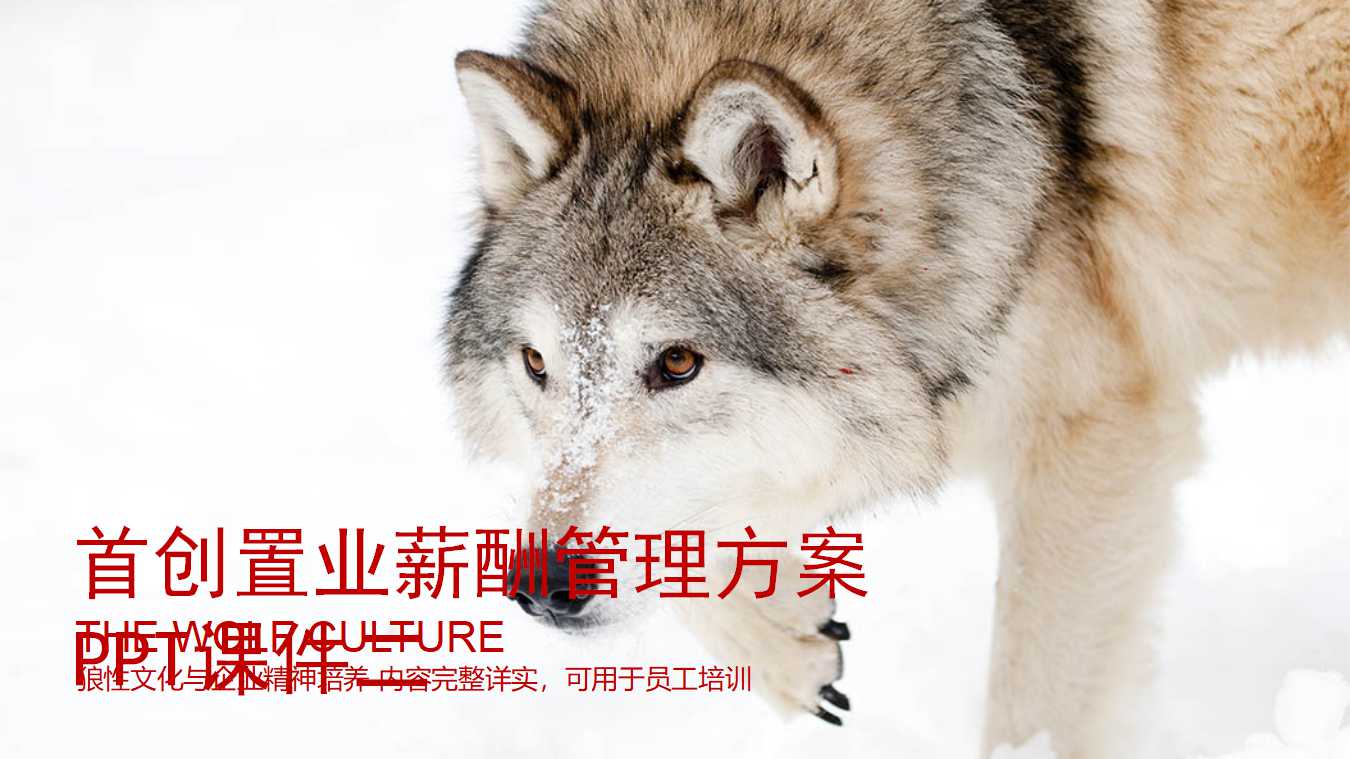 首创置业薪酬管理方案PPT课件二