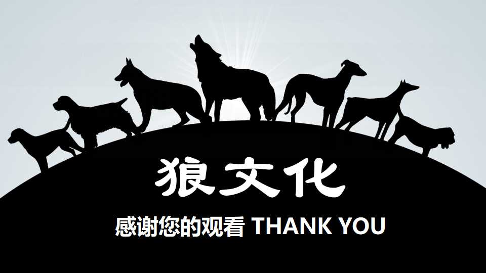 国际某知名咨询公司管理咨询的标准流程PPT课件