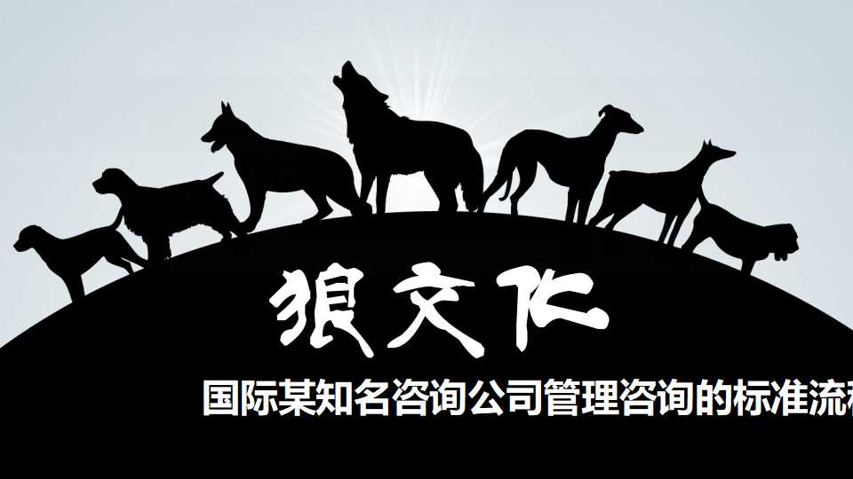 国际某知名咨询公司管理咨询的标准流程PPT课件