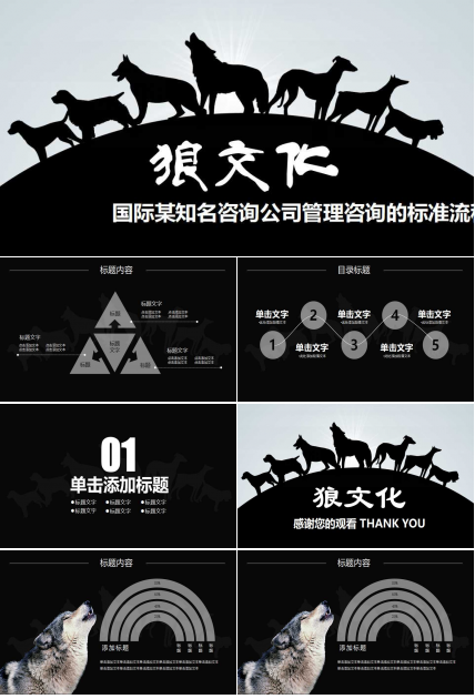 国际某知名咨询公司管理咨询的标准流程PPT课件