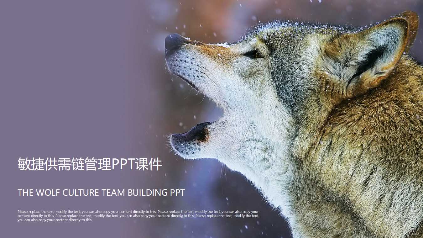 敏捷供需链管理PPT课件
