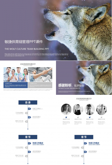 敏捷供需链管理PPT课件