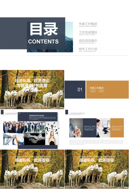 经济环境、经济理论与管理会计的发展PPT课件一