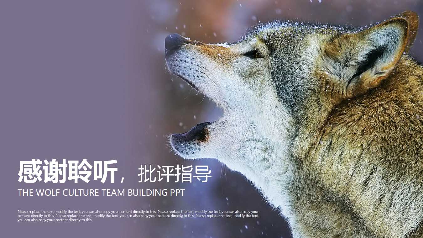 敏捷供需链管理PPT课件