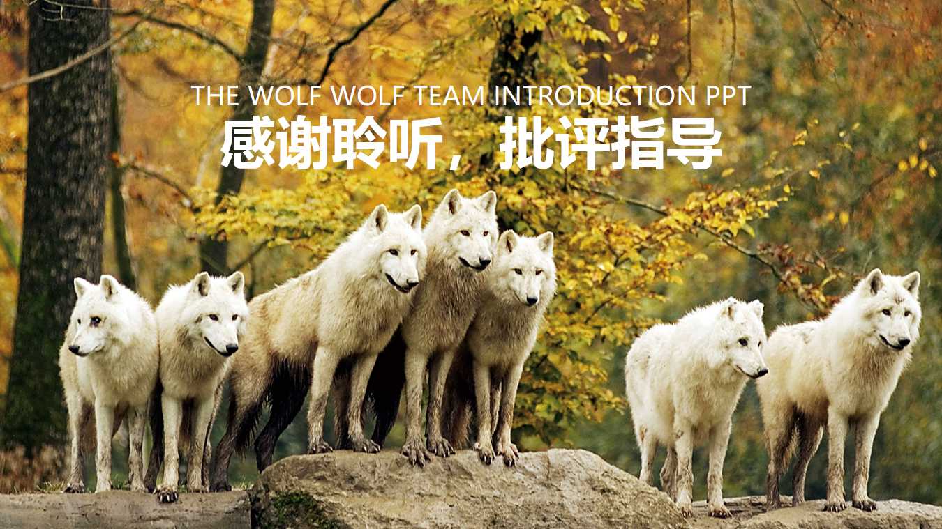 经济环境、经济理论与管理会计的发展PPT课件一