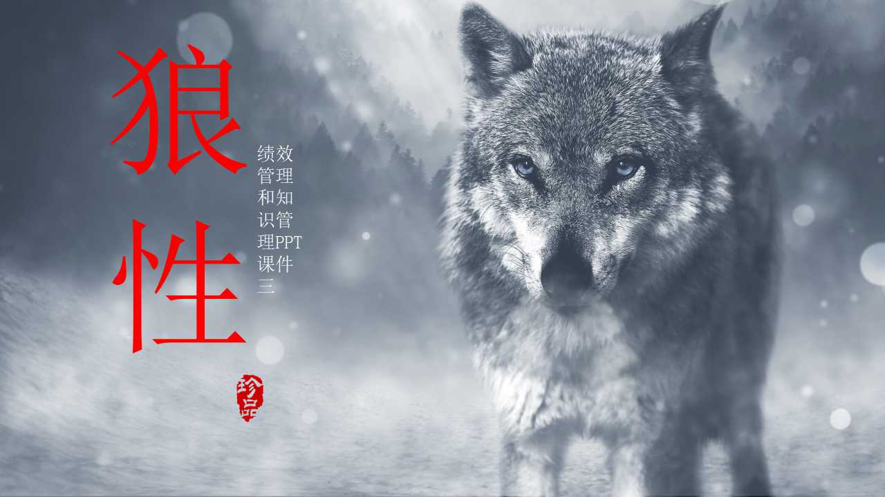 绩效管理和知识管理PPT课件三