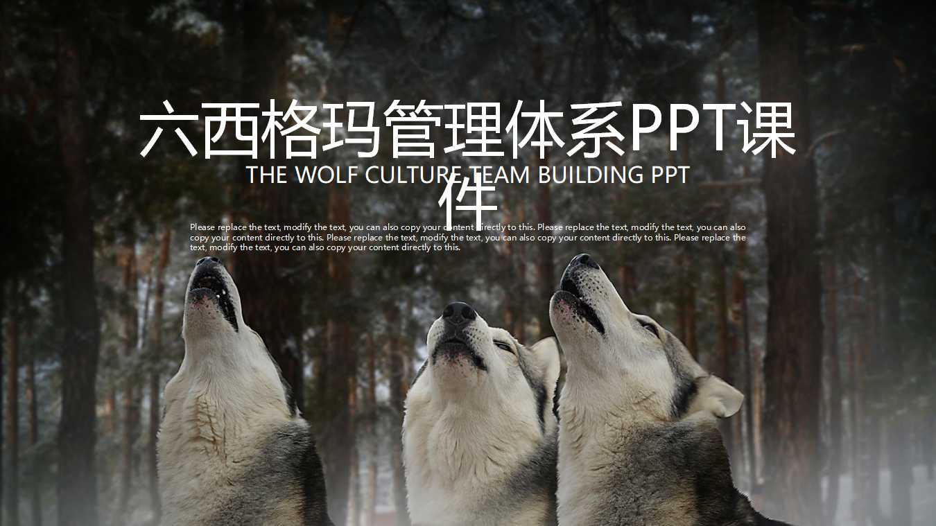 六西格玛管理体系PPT课件