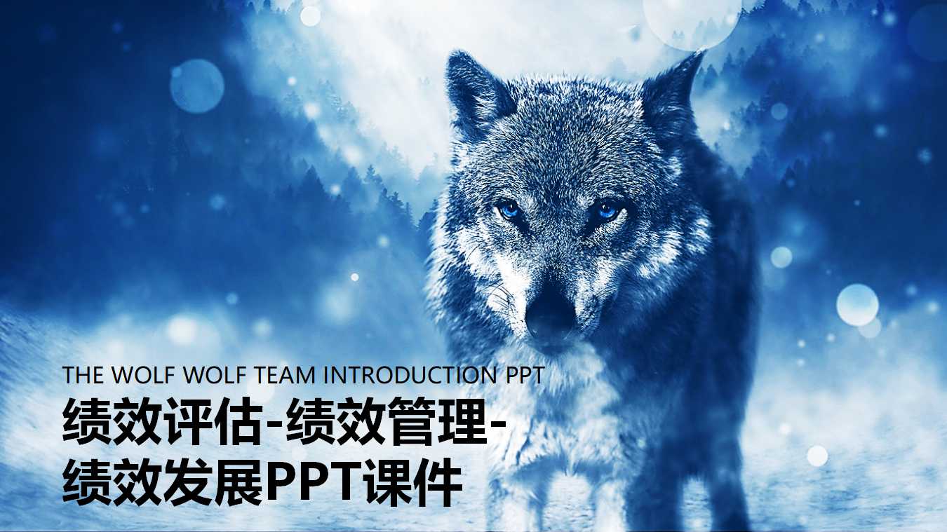 绩效评估-绩效管理-绩效发展PPT课件