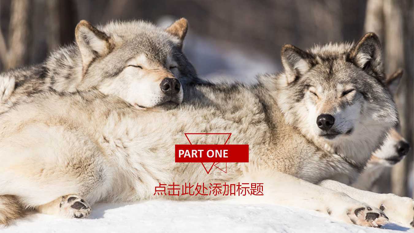 首创置业薪酬管理方案PPT课件二