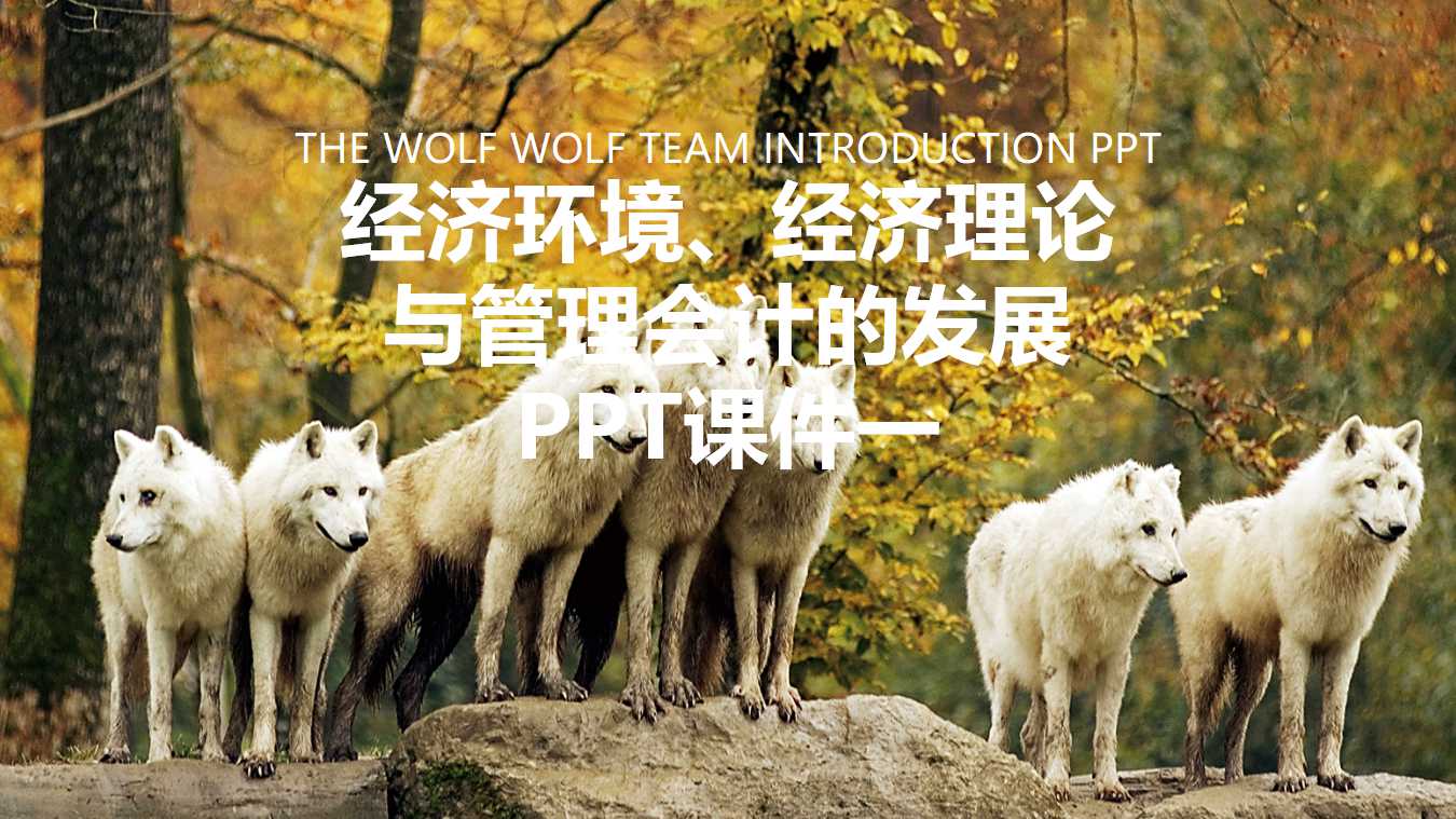 经济环境、经济理论与管理会计的发展PPT课件一