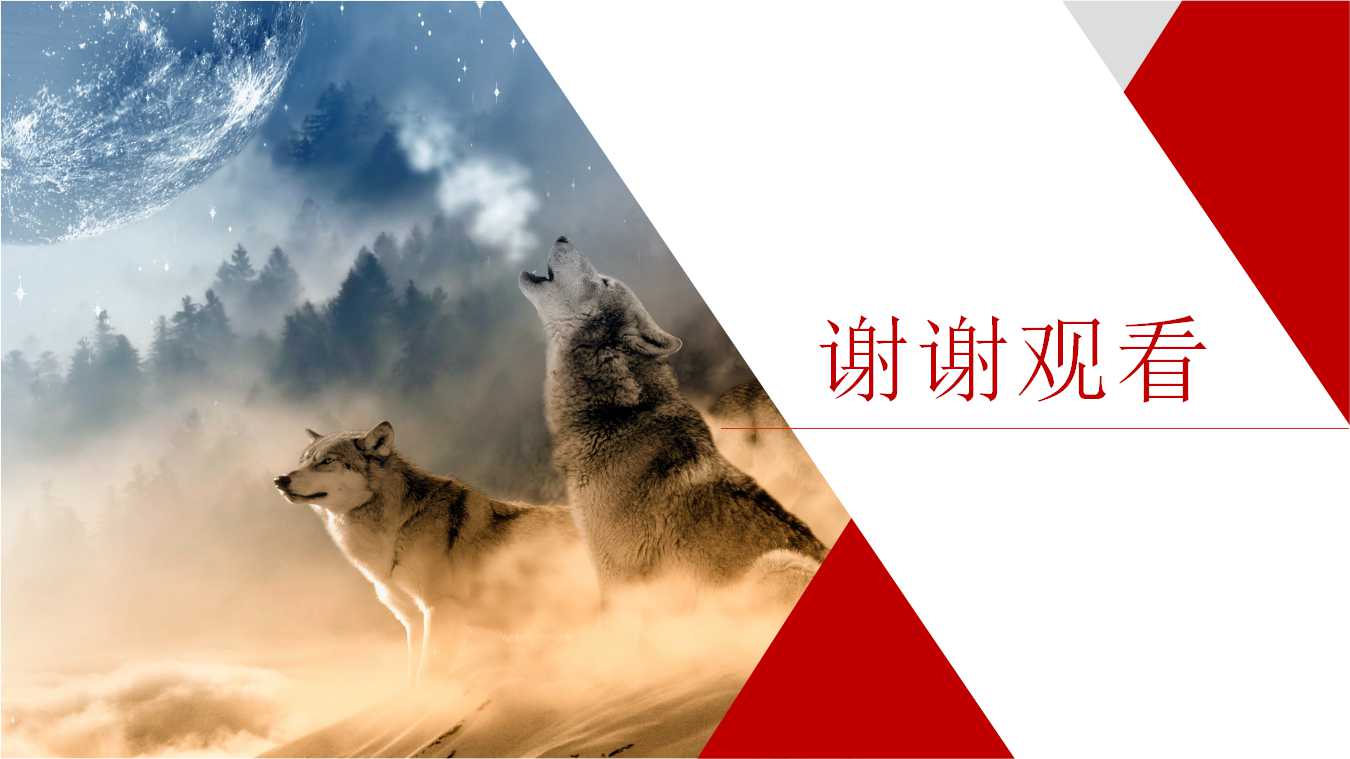 某国际贸易公司管理模式诊断报告PPT课件一