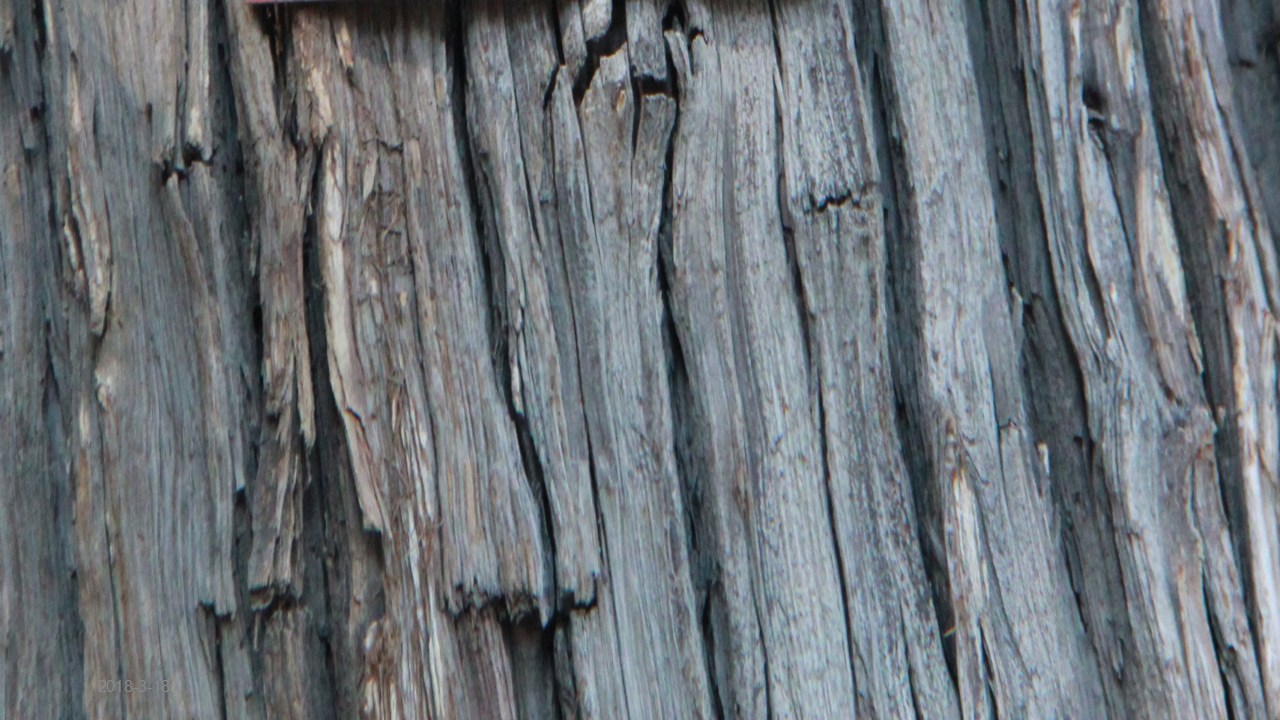 六西格玛阶段总结PPT课件