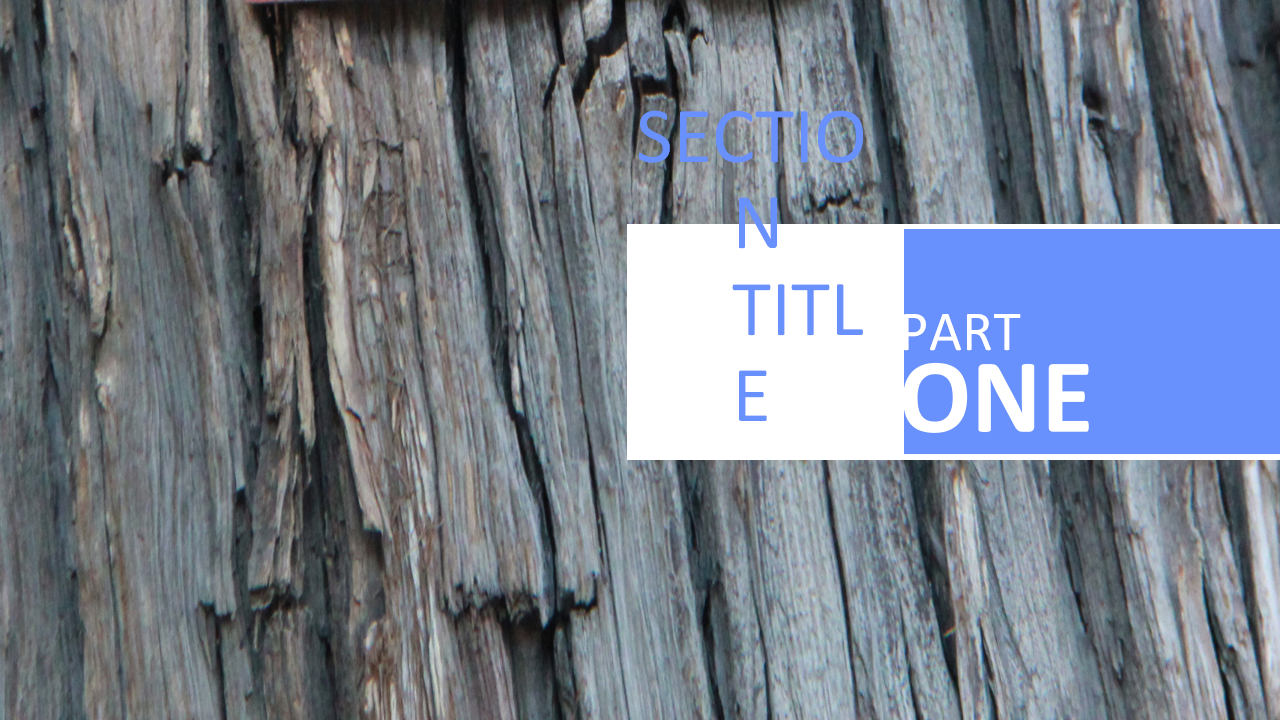 六西格玛阶段总结PPT课件