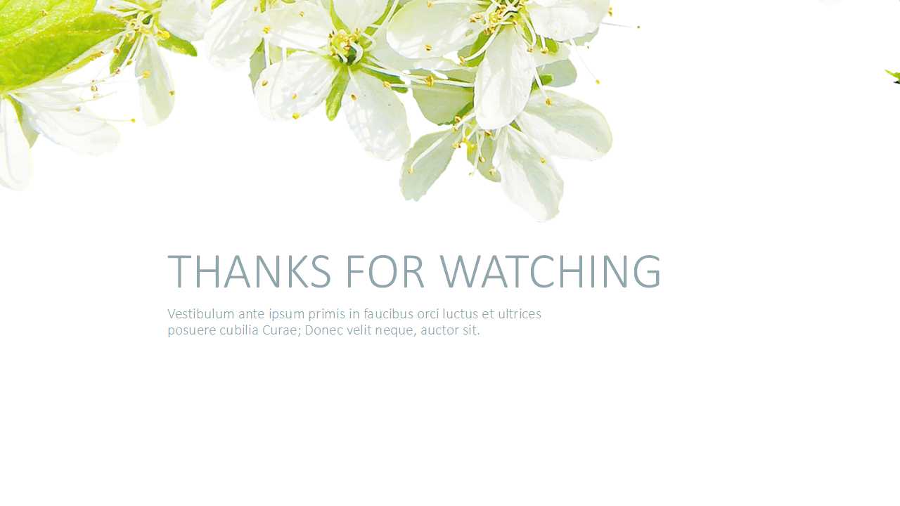 旅行社的组织管理和经营计划PPT课件