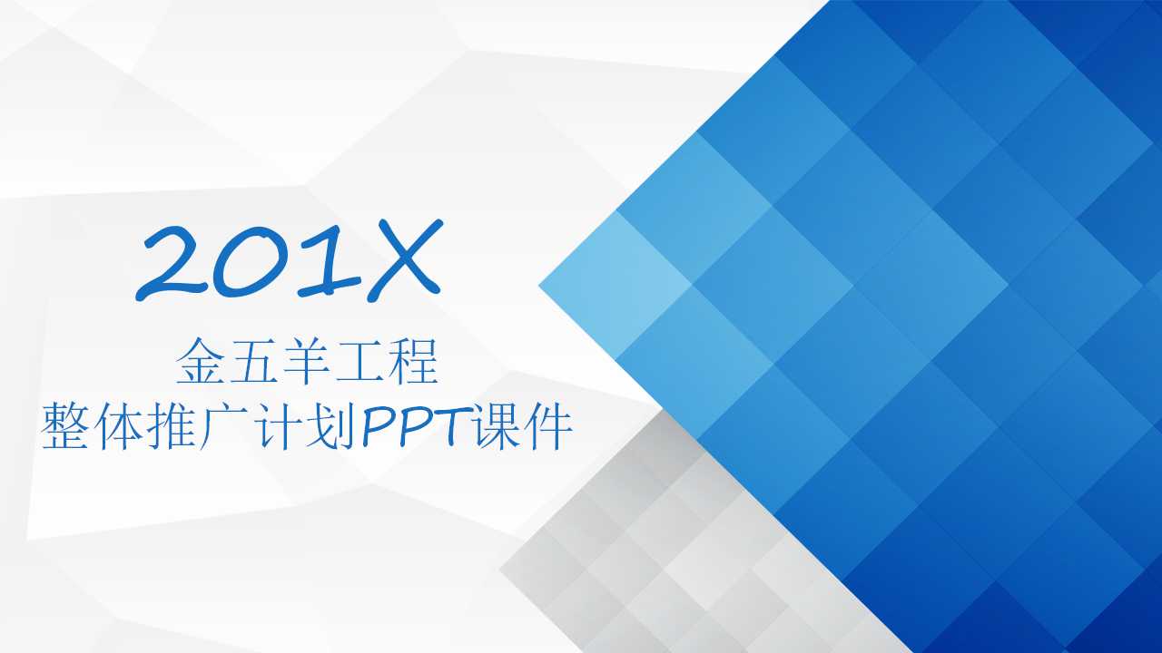 金五羊工程整体推广计划PPT课件