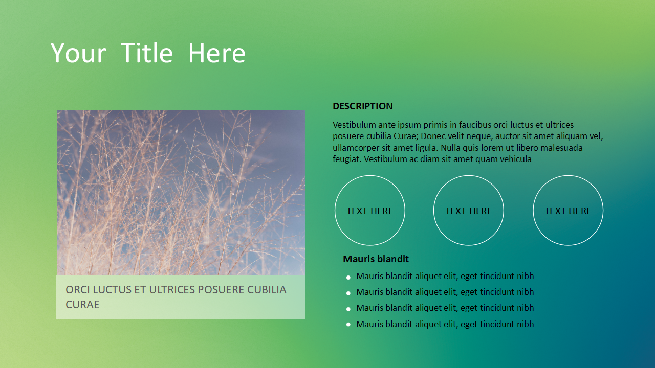 教学PPT-草绿色-毕业论文答辩模板