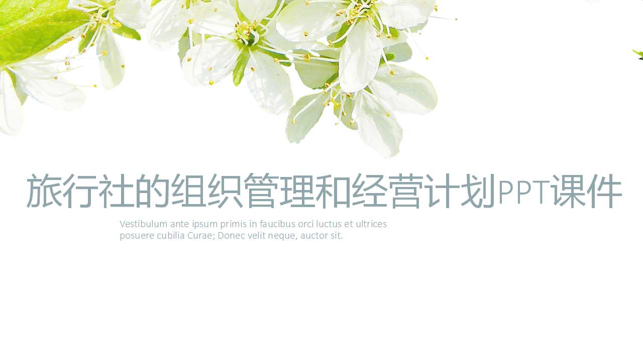 旅行社的组织管理和经营计划PPT课件