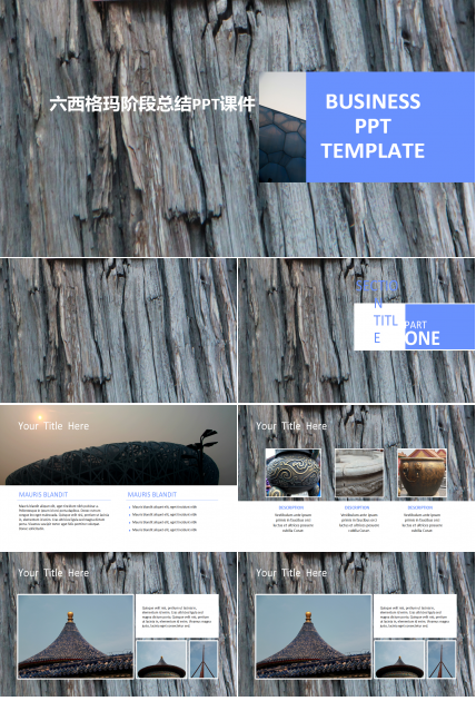 六西格玛阶段总结PPT课件