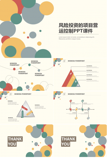 风险投资的项目营运控制PPT课件