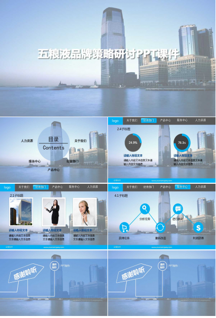 五粮液品牌策略研讨PPT课件