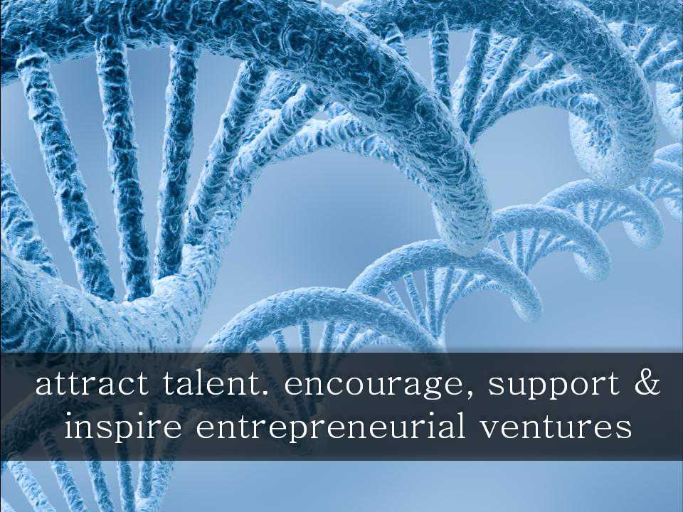 EMBA营销管理课程PPT课件