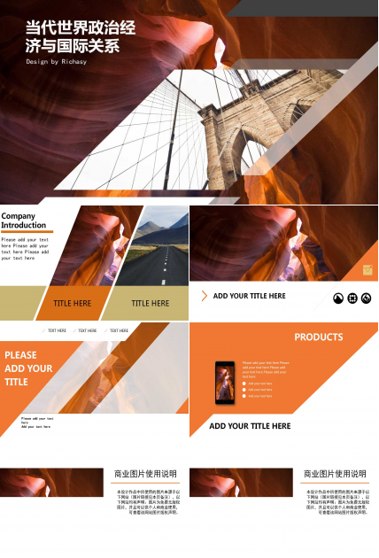 当代世界政治经济与国际关系PPT课件三