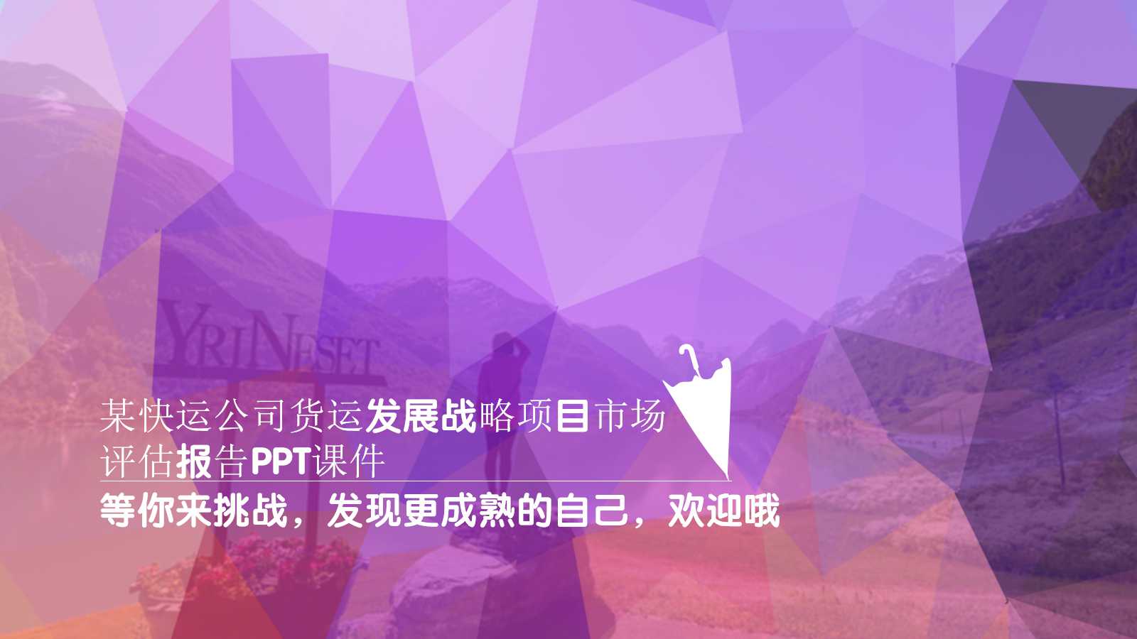 某快运公司货运发展战略项目市场评估报告PPT课件