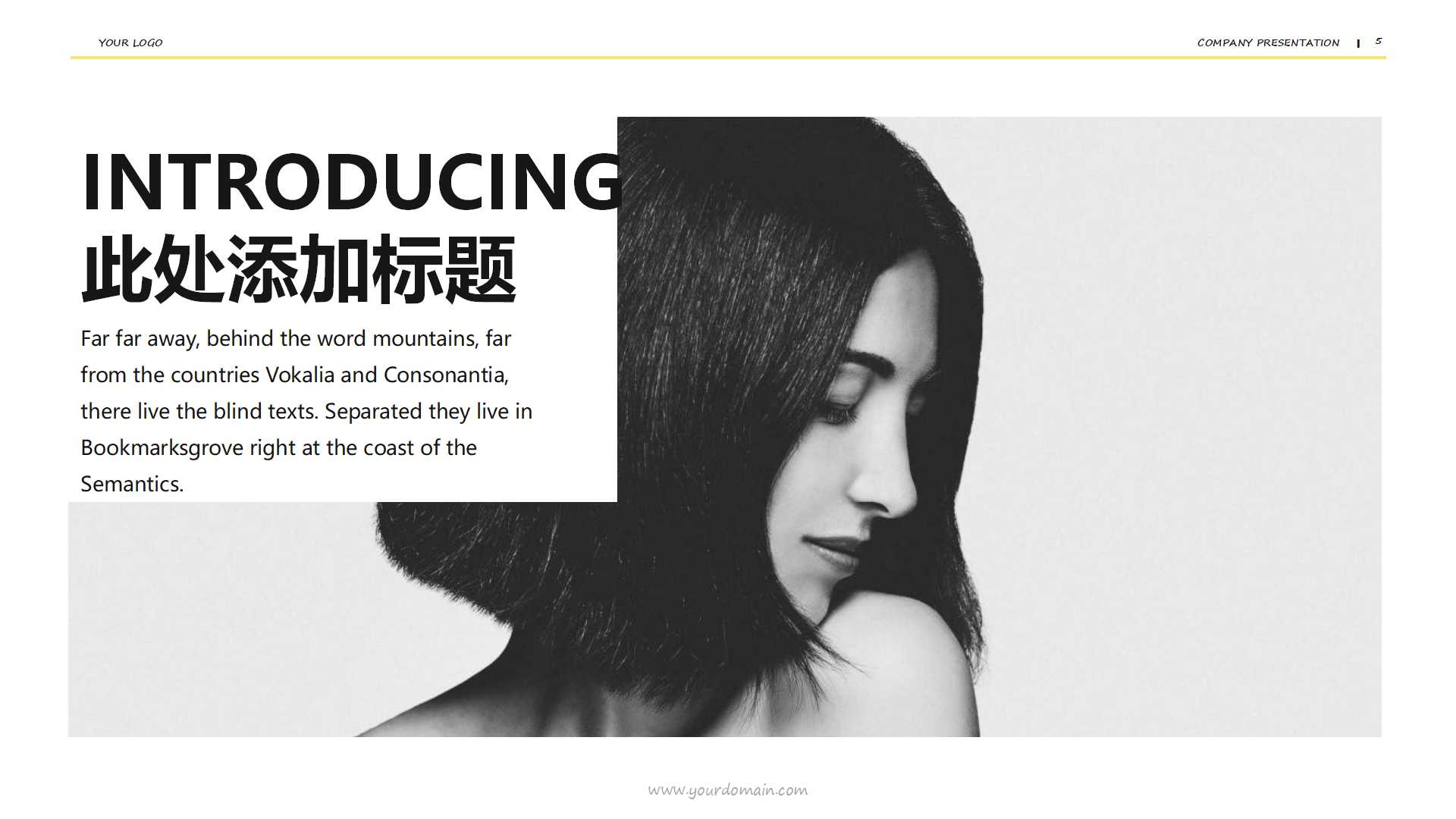 现代管理会计的形成与发展PPT课件