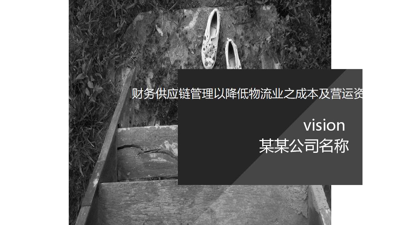 财务供应链管理以降低物流业之成本及营运资金PPT课件