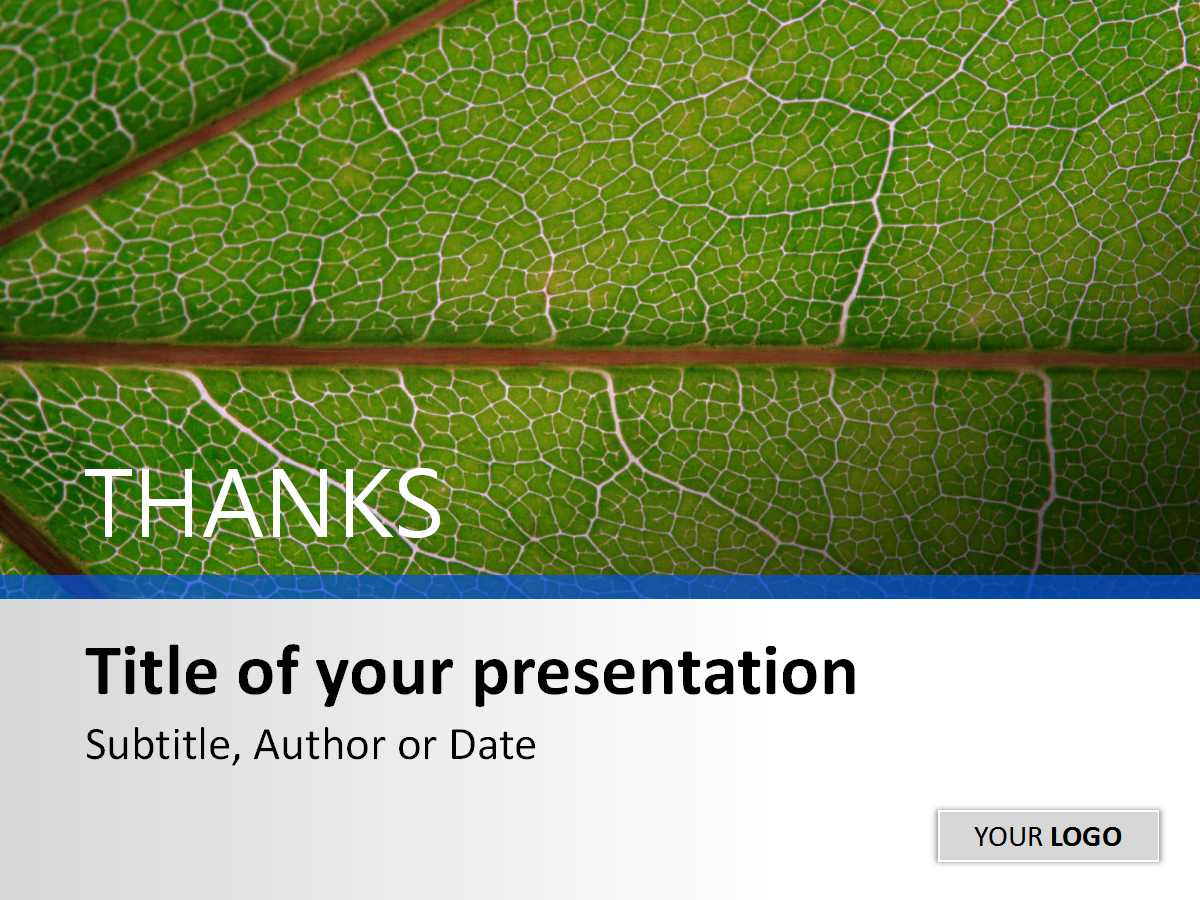 如何培养中国强势品牌PPT课件