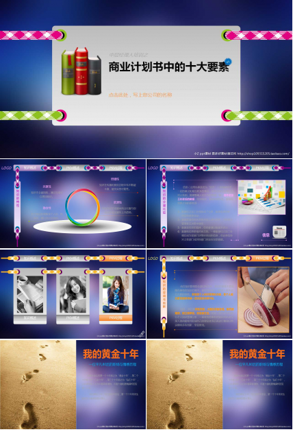 商业计划书中的十大要素PPT课件
