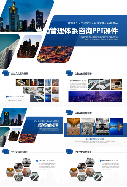 营销管理体系咨询PPT课件