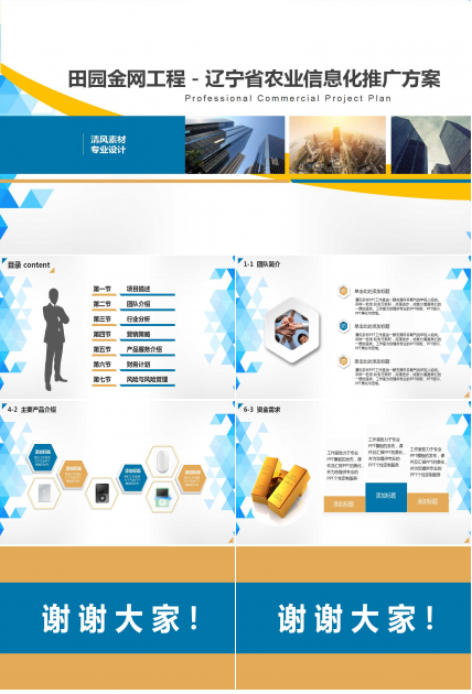 田园金网工程－－-辽宁省农业信息化推广方案PPT课件