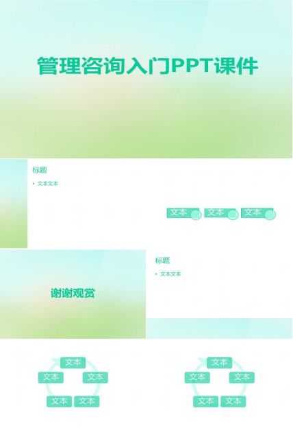 管理咨询入门PPT课件