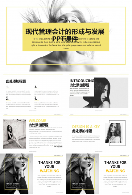 现代管理会计的形成与发展PPT课件